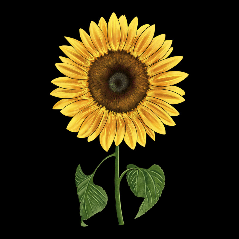 Giganteus Sunflower Urban Hoodie by LillyAllenDesigns | Teevron