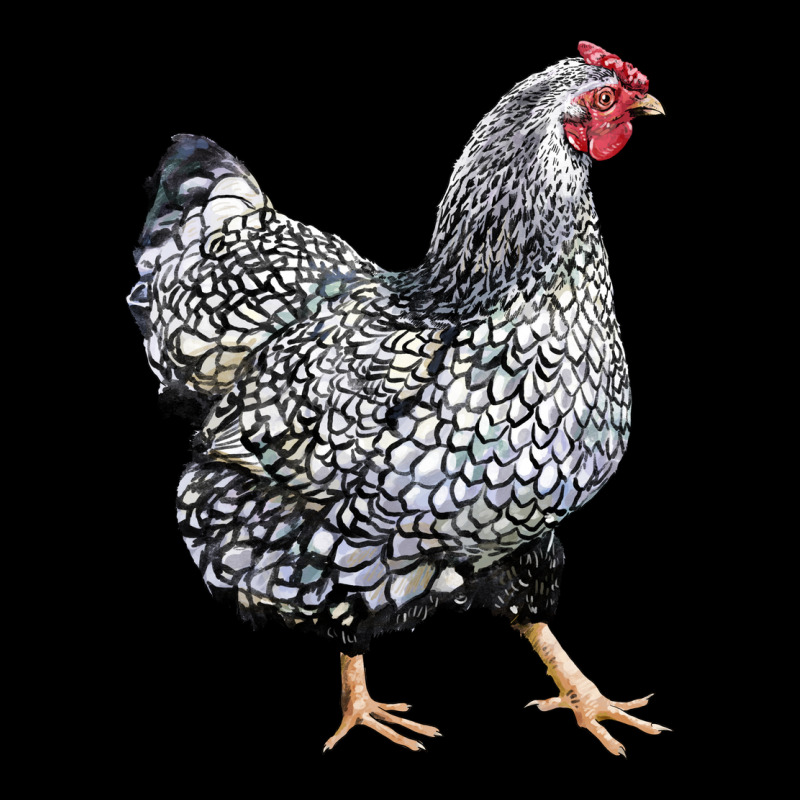 Wyandotte Chicken Premium Tee by LillyAllenDesigns | Teevron