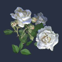 White Dawn Rose Urban Hoodie | Teevron