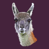 Guanaco Llama Head Premium Tee | Teevron