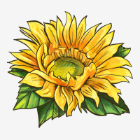 Starburst Greenburst Sunflower Urban Hoodie | Teevron