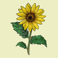 Sunray Yellow Sunflower Urban Hoodie | Teevron
