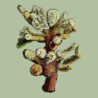 Cholla Tree Cactus Urban Hoodie | Teevron