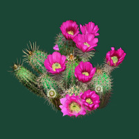 Strawberry Hedgehog Cactus Urban Hoodie | Teevron