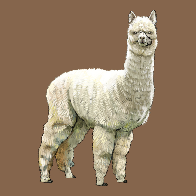 Alpaca Premium Tee by LillyAllenDesigns | Teevron