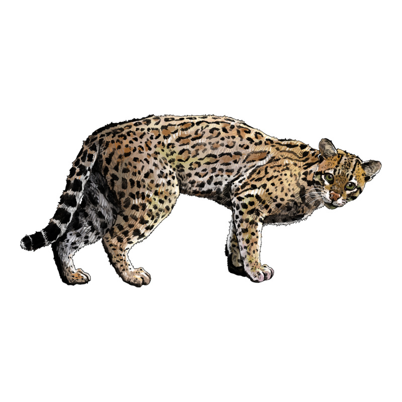 Ocelot Premium Tee by LillyAllenDesigns | Teevron