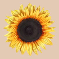 Treetops Sunflower Urban Hoodie | Teevron