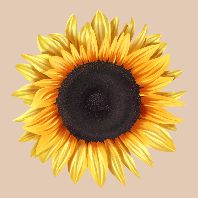 Treetops Sunflower Urban Hoodie by LillyAllenDesigns | Teevron