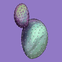 Opunthia Santa Rita Cactus Urban Hoodie | Teevron