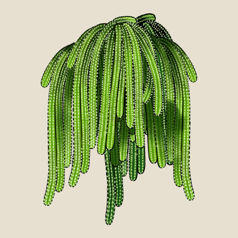Selenicereus Cactus Urban Hoodie by LillyAllenDesigns | Teevron