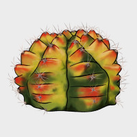 Gymnocalycium Variegated Cactus Urban Hoodie | Teevron