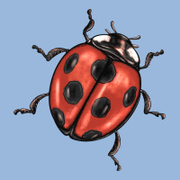 Ladybug Premium Hoodie | Teevron