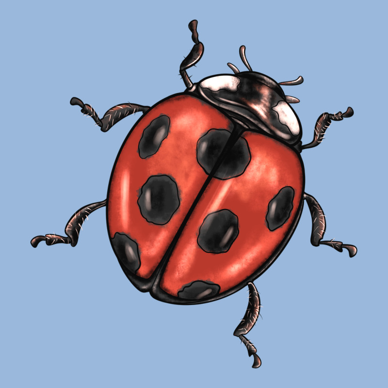 Ladybug Premium Hoodie by BarkalooDesign | Teevron