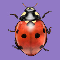 Lady Bug Urban Hoodie | Teevron