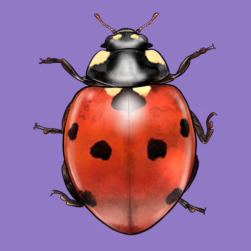 Lady Bug Urban Hoodie by LillyAllenDesigns | Teevron