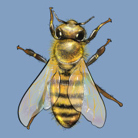 Bee Urban Hoodie | Teevron