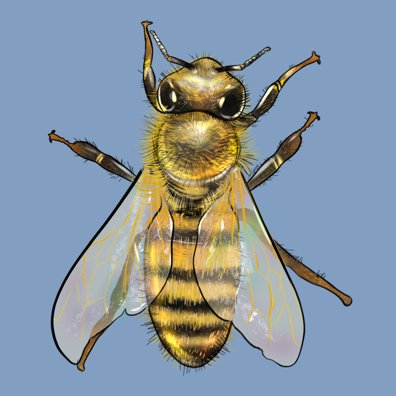 Bee Urban Hoodie by LillyAllenDesigns | Teevron