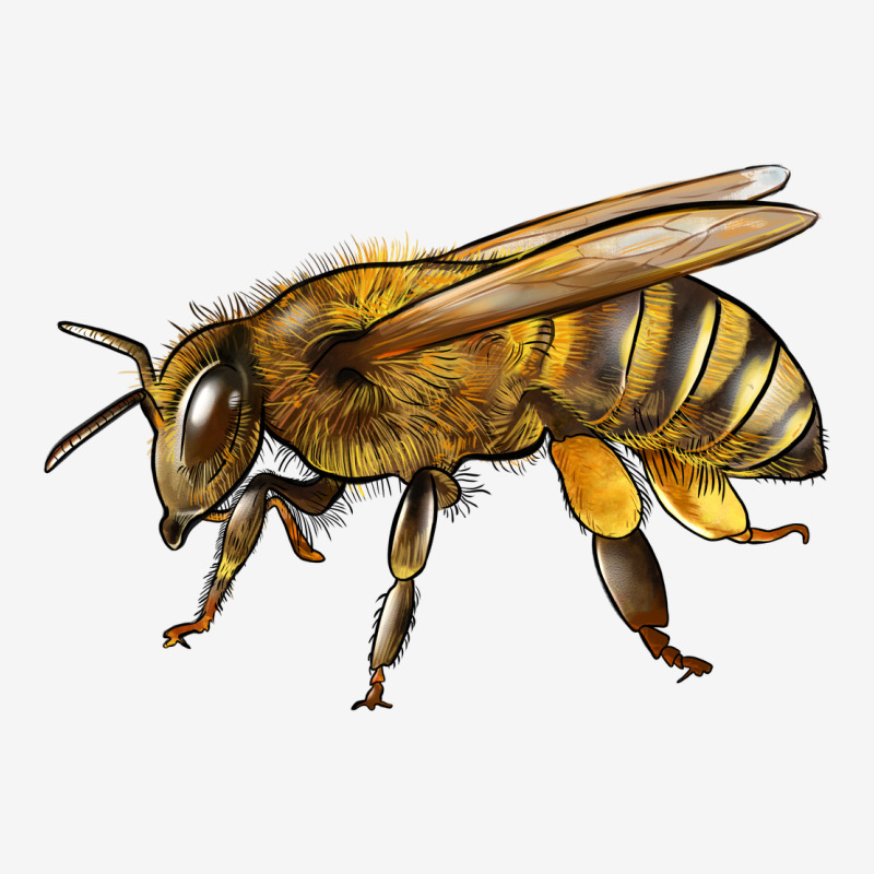 Bee Side Urban Hoodie by LillyAllenDesigns | Teevron
