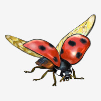 Ladybug Flying Urban Hoodie | Teevron