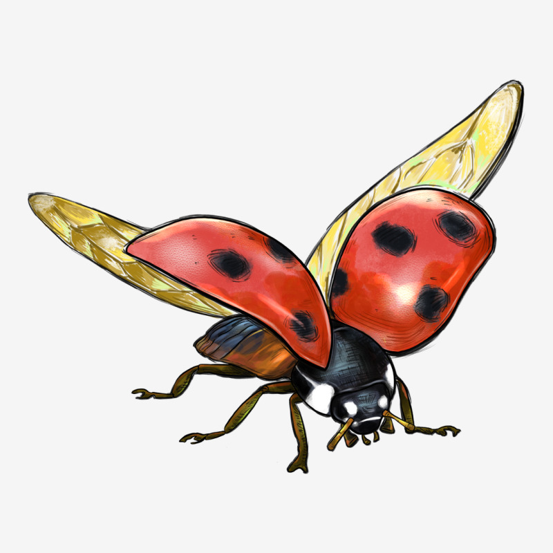 Ladybug Flying Urban Hoodie by LillyAllenDesigns | Teevron