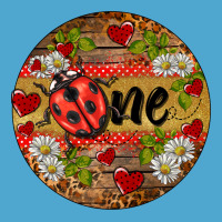 Ladybug One Ornament Premium Hoodie | Teevron