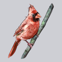 Northern Cardinal Bird Urban Hoodie | Teevron