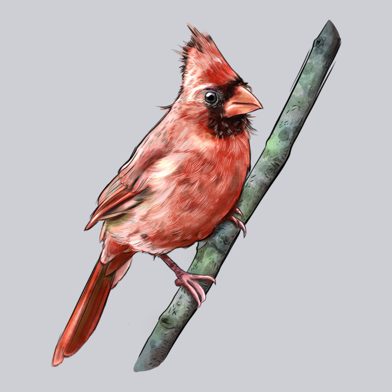 Northern Cardinal Bird Urban Hoodie by LillyAllenDesigns | Teevron