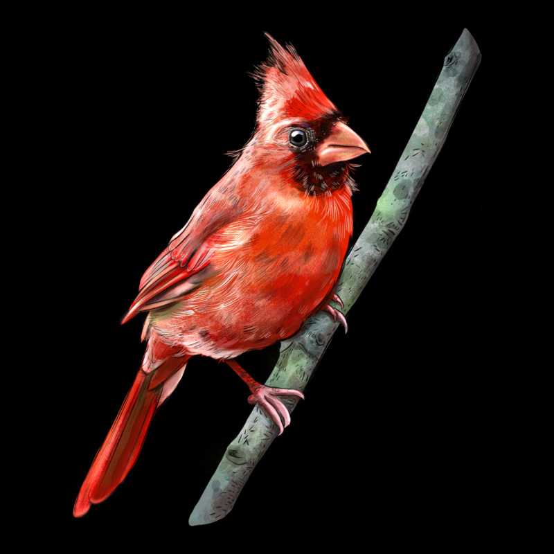 Northern Cardinal Bird Urban Hoodie by LillyAllenDesigns | Teevron