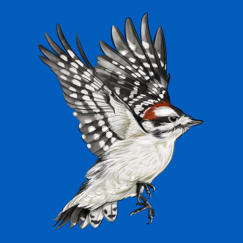 Flying Downy Woodpecker Urban Hoodie by LillyAllenDesigns | Teevron