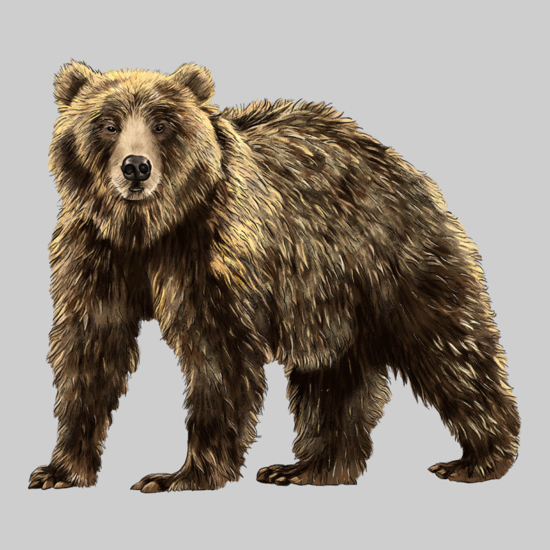 Brown Bear Premium Tee by LillyAllenDesigns | Teevron