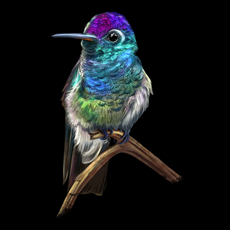 Rivoli`s Hummingbird Urban Hoodie by LillyAllenDesigns | Teevron