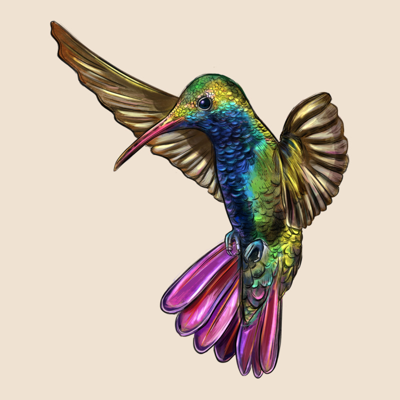 Broad Billed Hummingbird Urban Hoodie by LillyAllenDesigns | Teevron