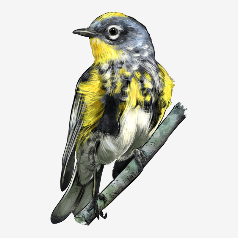 Yellow Rumped Warbler Urban Hoodie by LillyAllenDesigns | Teevron