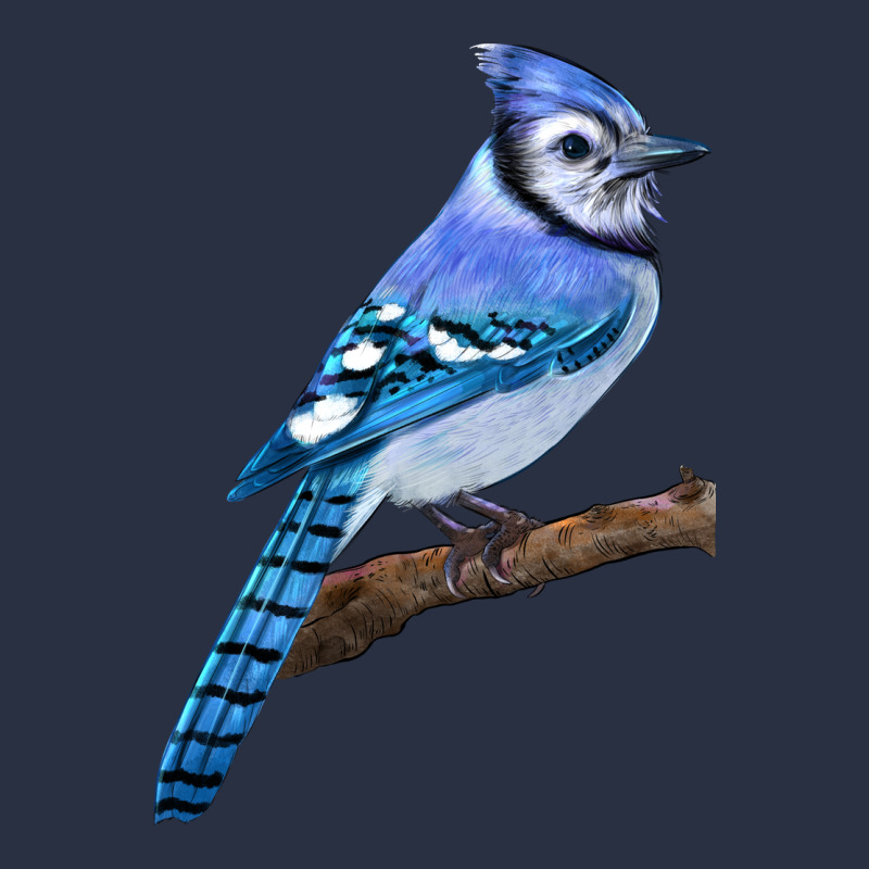 Blue Jay Bird Urban Hoodie by LillyAllenDesigns | Teevron