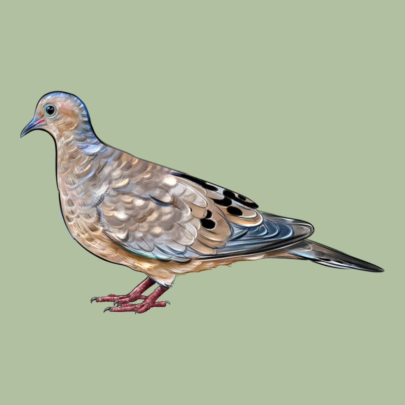 American Dove Urban Hoodie by LillyAllenDesigns | Teevron