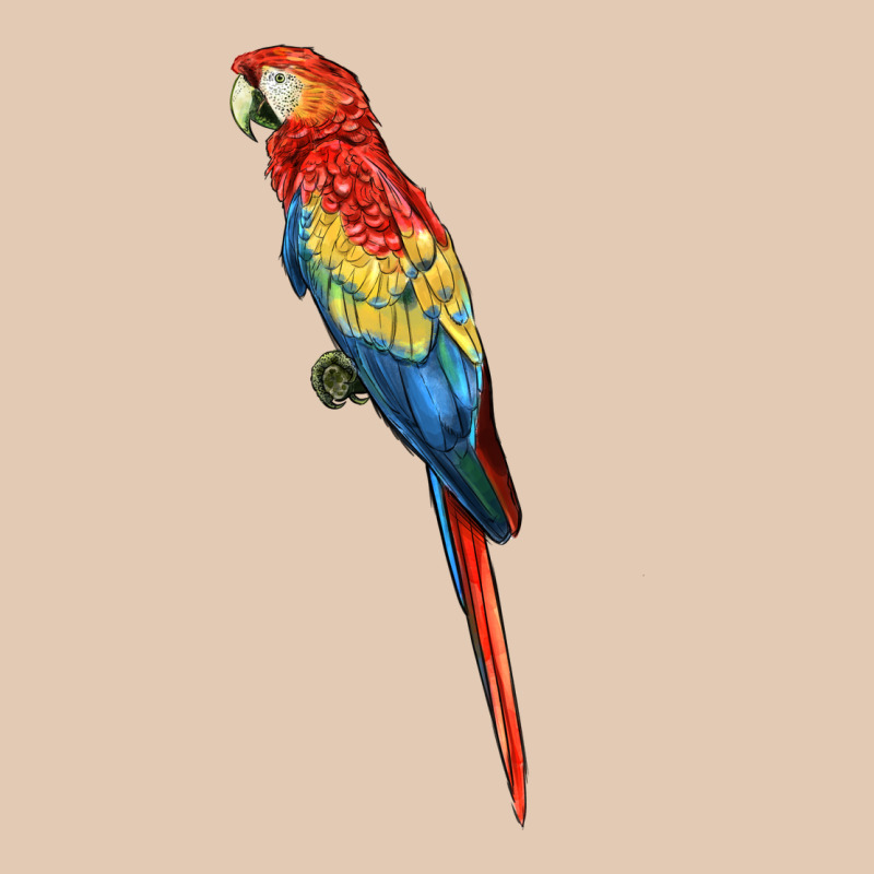 Scarlet Macaw Parrot Urban Hoodie by LillyAllenDesigns | Teevron