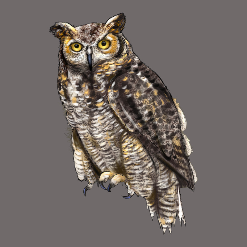 Great Horned Owl Urban Hoodie by LillyAllenDesigns | Teevron