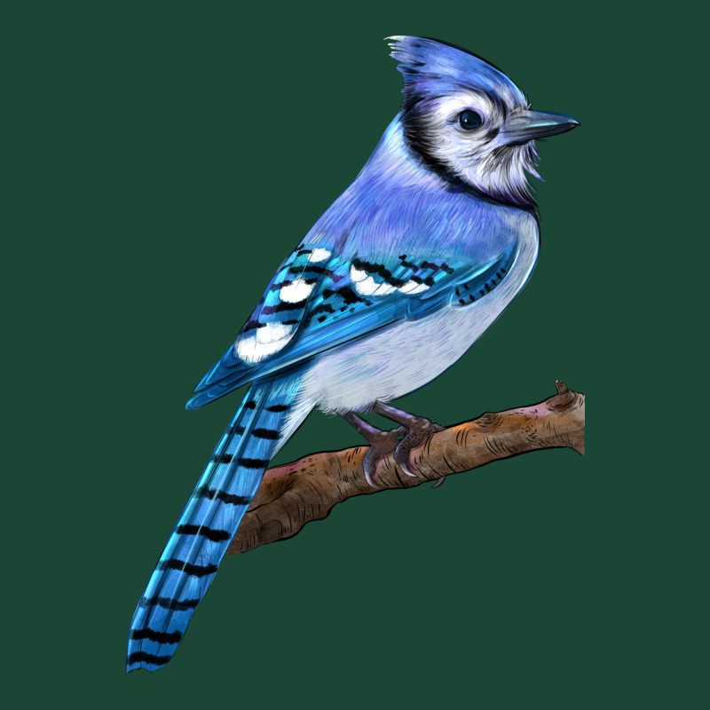 Blue Jay Bird Urban Hoodie by LillyAllenDesigns | Teevron