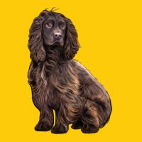 Boykin Spaniel Dog Premium Hoodie | Teevron