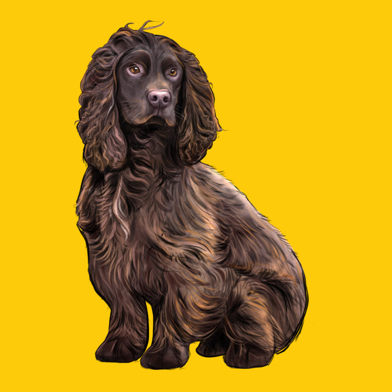 Boykin Spaniel Dog Premium Hoodie by LillyAllenDesigns | Teevron