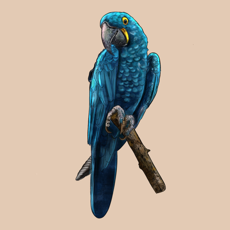 Hyacinth Macaw Urban Hoodie by LillyAllenDesigns | Teevron