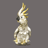 Cockatoo Bird Urban Hoodie | Teevron