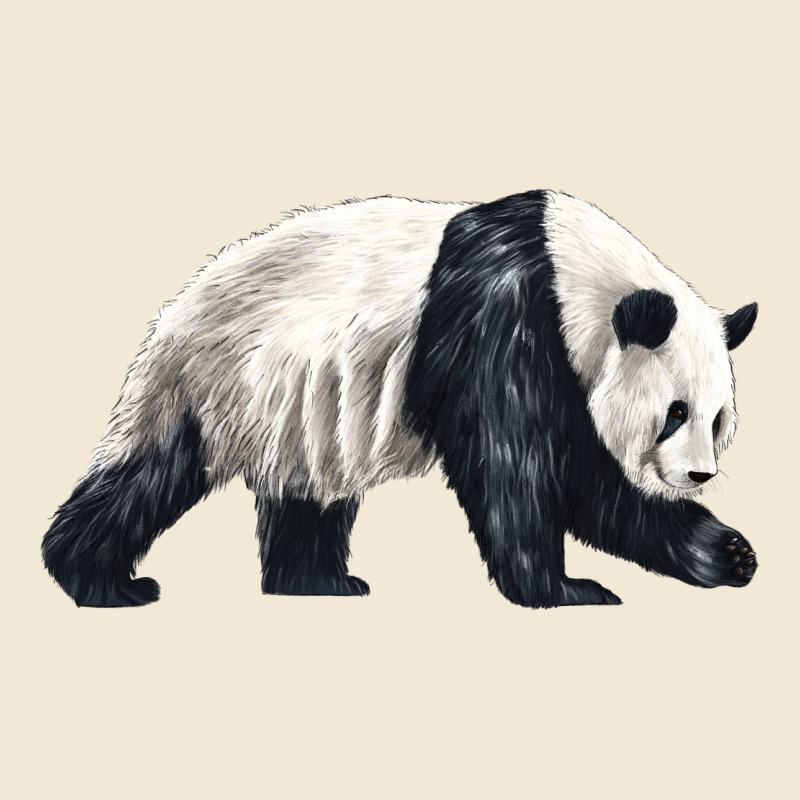 Walking Panda Premium Tee by LillyAllenDesigns | Teevron