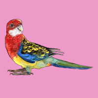 Rosella Bird Urban Hoodie | Teevron