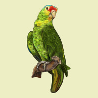 New Zealand Paraket Parrot Urban Hoodie | Teevron
