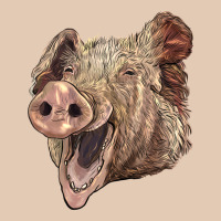 American Yorkshire Pig Face Urban Hoodie | Teevron