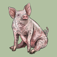 American Yorkshire Pig Urban Hoodie | Teevron