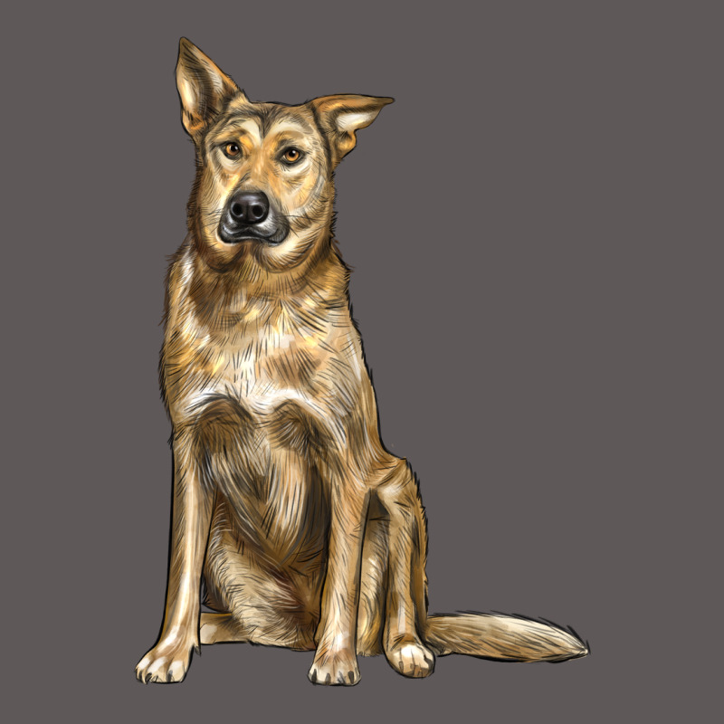 Chinook Dog Premium Hoodie by LillyAllenDesigns | Teevron