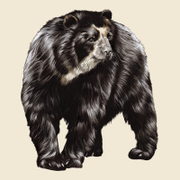 Spectacled Bear Premium Tee | Teevron