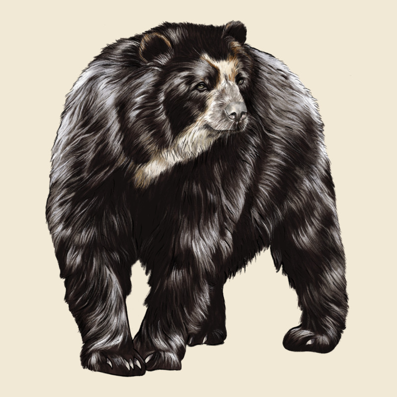 Spectacled Bear Premium Tee by LillyAllenDesigns | Teevron